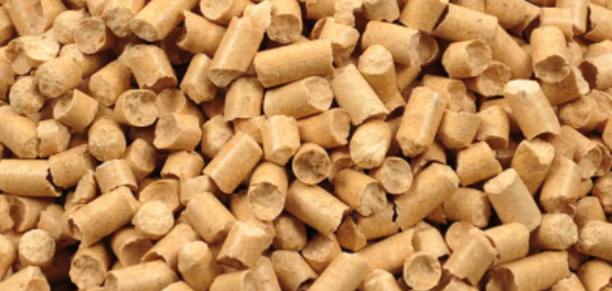 pine cat litter